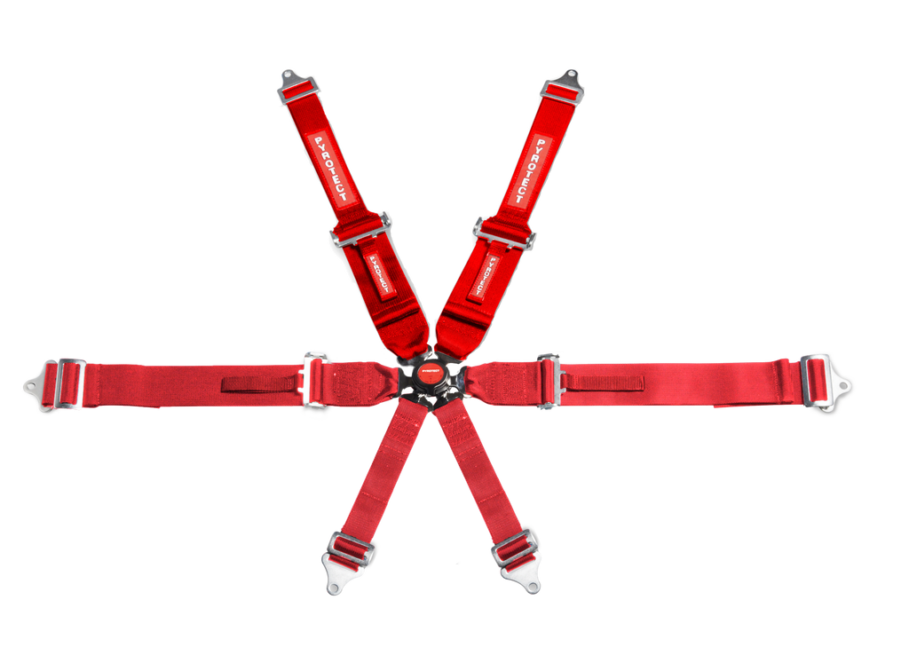 PYROTECT CAMLOCK 6PT HARNESS W/2-3 INCH BELTS SFI RATED