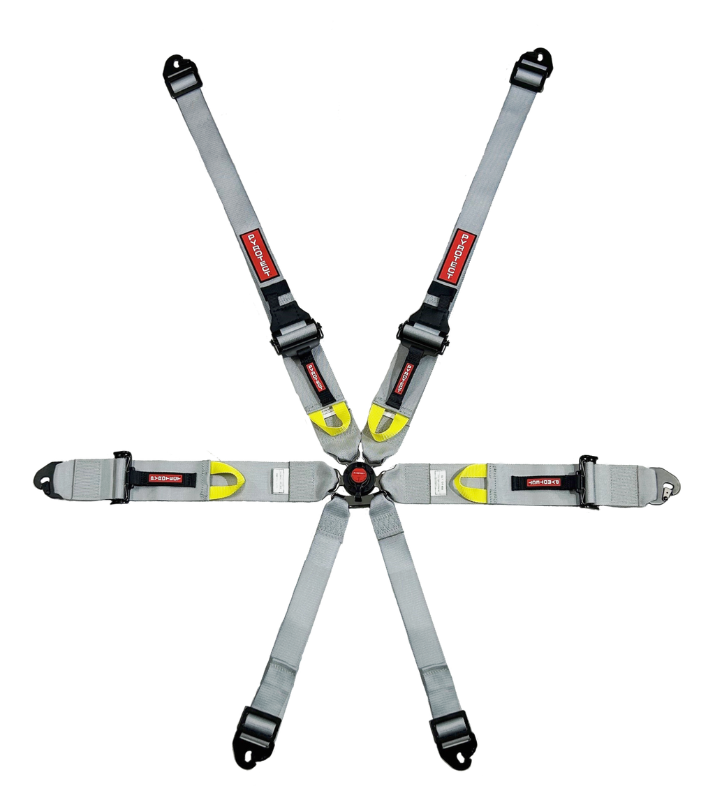 6PT 3″HARNESS, CAMLOCK W/LIGHT WEIGHT ADJUSTERS, FIA-8853